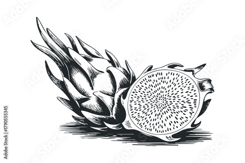 Hand Drawn Dragon Fruit with Slice Displaying Seeds