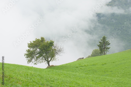 Green meadow with mountain peaks covered in mist and clouds. La Vanoise national park, Savoie, France 