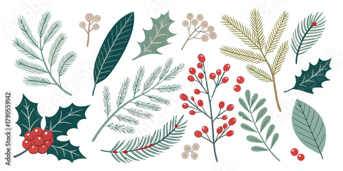 Vector illustration of christmas  illustration of various christmas foliage and berry arrangements set