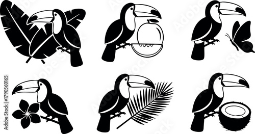Toucan bird silhouettes with tropical leaves flowers and coconut vector design icons in black and white style