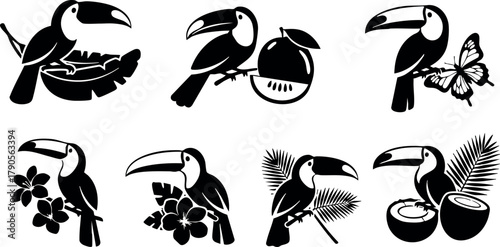 Toucan bird vector set with tropical fruits, flowers, leaves, and butterfly in black silhouette style for exotic wildlife design