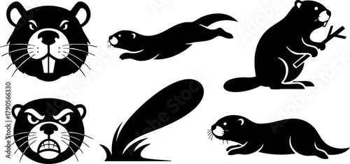 Beaver silhouette vector set showing head, swimming, sitting, angry face, tail, and walking poses in black and white style