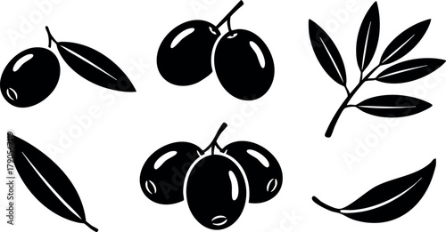 Black Olive Fruit and Leaf Vector Set for Natural Organic Food Design Elements