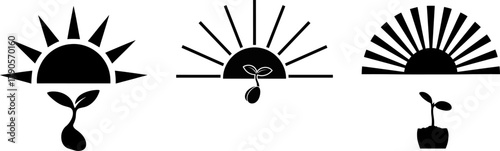 Sunrise and seedling growth icons Silhouettes 