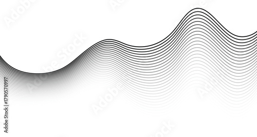 abstract wavy frequency curve. black and white gradient digital sound wave or flowing lines background