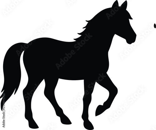 --save-to-library--download-preview--preview-crop- (2).eps