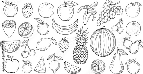 Hand drawn fruit doodles collection featuring various popular fruits