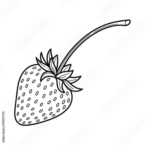 Hand drawn black and white illustration of a single strawberry with stem
