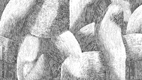 Abstract black and white textured background with curved lines and shapes vector