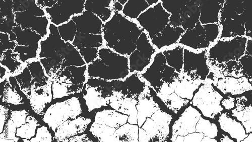 Black and white cracked earth texture with irregular patterns abstract background