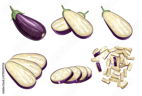 A set of different eggplant slices on a white background. Vector illustration