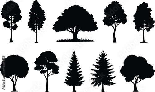 Tree silhouette illustration set with broadleaf, coniferous, rounded, narrow, and spreading canopy shapes in black vector style