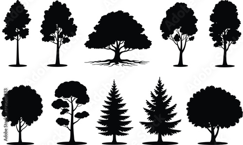Tree silhouette illustration set with varied canopy shapes, root details, foliage patterns, and species diversity in black vector style