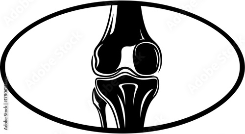 Knee joint anatomy illustration for medical and health sites