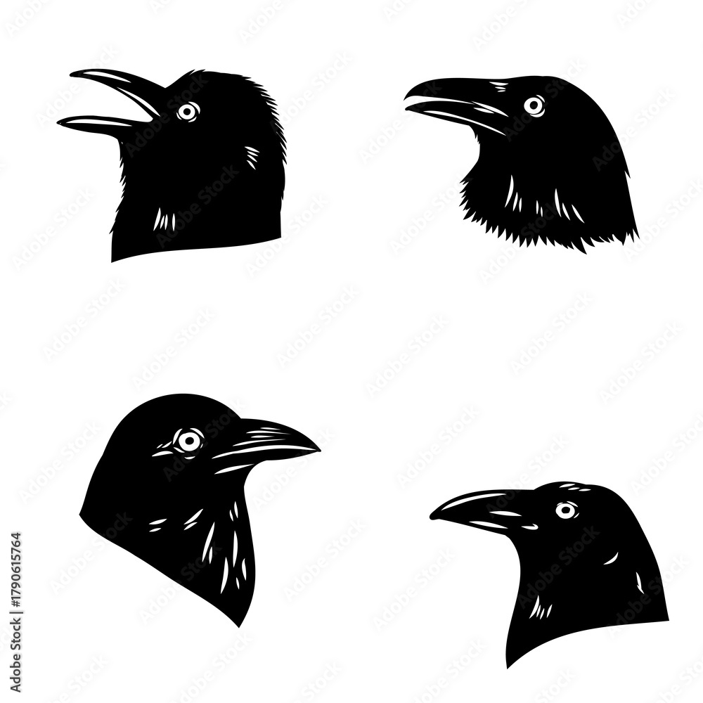 Obraz premium crow, black bird, vector sketch