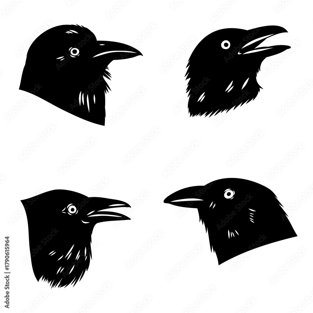 Obraz premium crow, black bird, vector sketch