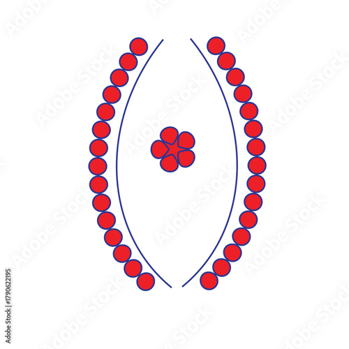 Illustration of floral diagram of a flower with petals, sepals, and reproductive organs