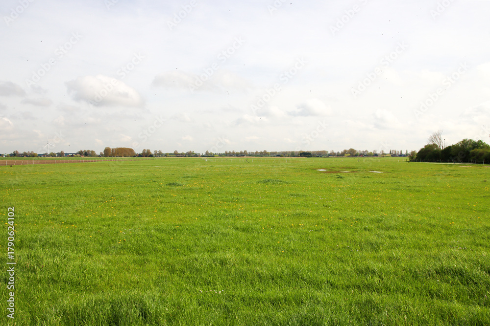 Fototapeta premium Meadows and country roads in the Zuidplaspolder