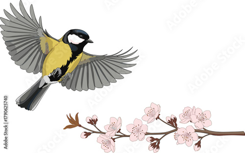 Bird in flight, cherry blossom, spring nature, pink flowers, wildlife illustration, great tit, cartoon style, blooming branch, seasonal beauty, peaceful