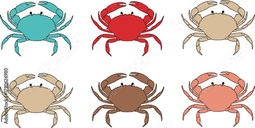 Colorful crabs, cartoon style, marine animals, crab illustration, sea life, ocean creatures, crustaceans, biology, kids art, educational design