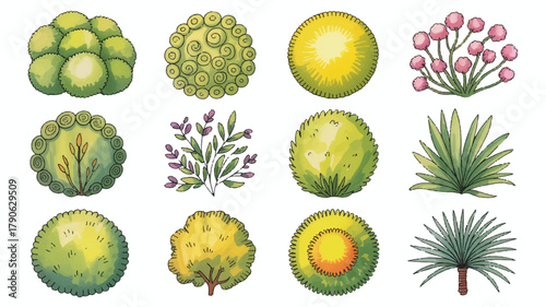 Watercolor Greenery Top View Garden Plants Illustration for Landscaping and Design