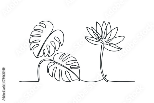 Minimalist continuous line drawing of a lotus flower and monstera leaves