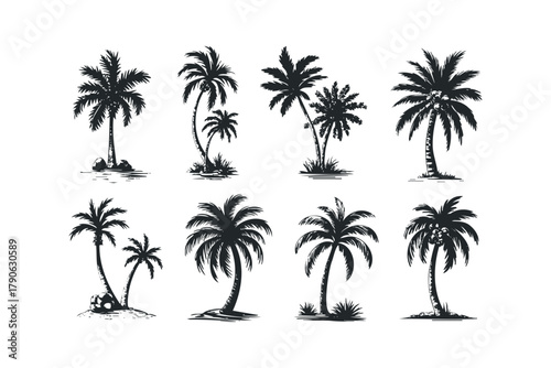 Collection of black silhouette palm trees