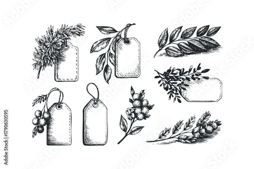 Hand Drawn Botanical Tags and Sprigs Collection
