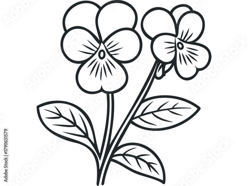 Line art of two blooming pansy flowers with leaves