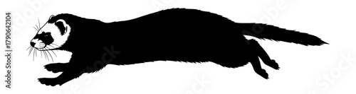 Black Silhouette of a Running Ferret in Dynamic Side Profile Graphic