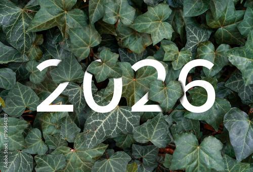 2026 New year white text hidden in natural green leaves wall