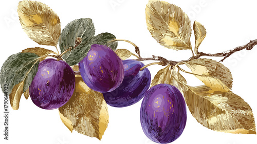 Vibrant Drawing of Purple Plums with Green Leaves and Gold Leaf
