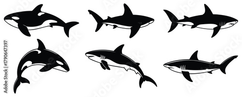 Shark Silhouette Set – Great White Shark, Hammerhead, Killer Whale, Ocean Predator Icons