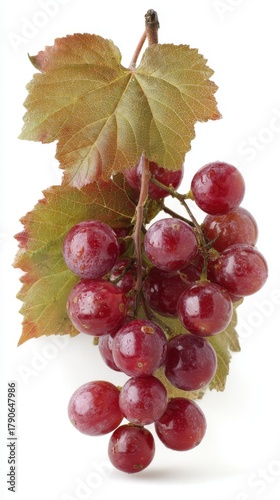 Studio shot of ripe red grapes with water droplets and a leaf on a white background still life close up