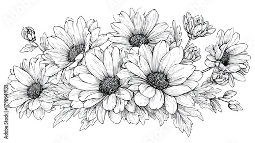 Vibrant Daisy Flowers Bouquet Vector Illustration for Design Projects