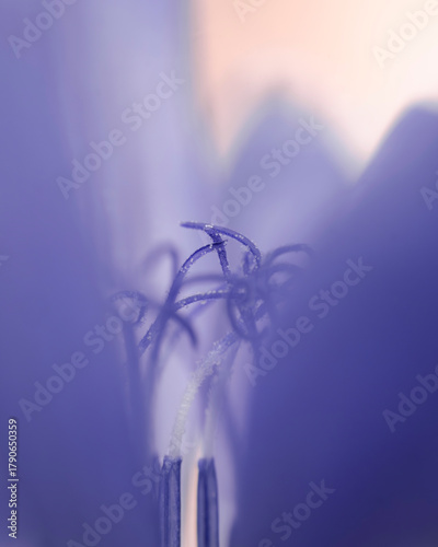 Abstract purple flower artistic background