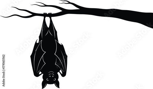 Black silhouette of a bat hanging upside down from a tree branch against a white background