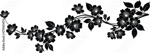 Elegant black silhouette of a blooming cherry blossom branch with delicate flowers and leaves on a white background
