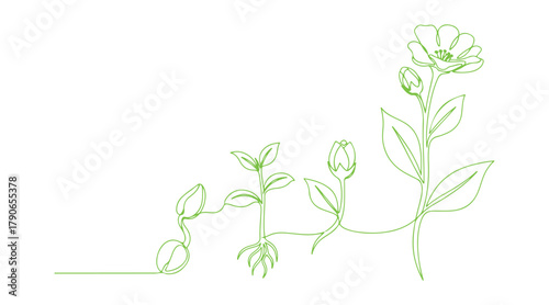 A flowing single line drawing that illustrates the stages of plant growth. Vector illustration