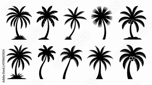 Set of ten black silhouette palm tree vectors with diverse shapes, leaf styles, and some featuring coconuts, perfect for tropical design and island concepts.