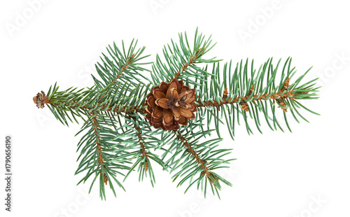 Green pine branches with brown pinecones isolated on a transparent background. A festive and natural element ideal for Christmas or winter holiday themes, symbolizing seasonal decor and nature. PNG.