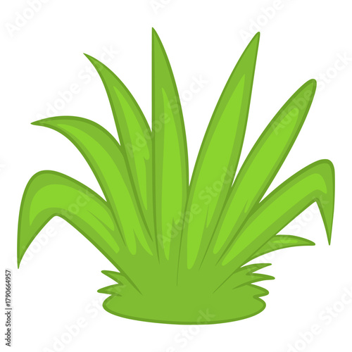 Grass illustration cartoon
