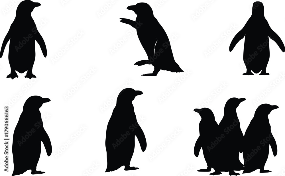 Obraz premium Penguin silhouettes collection isolated on white background, group and single penguins vector illustration, wildlife design elements