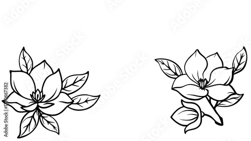 Floral bakground or wallpaper with tender flowers and leaves. Botanical foliage for wedding invitation or wall art. Vector illustration. 11