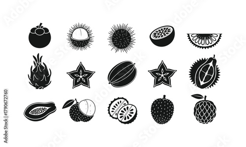 Tropical fruit icon set with mangosteen, rambutan, passionfruit, jackfruit, dragon fruit, durian, lychee, and starfruit symbols