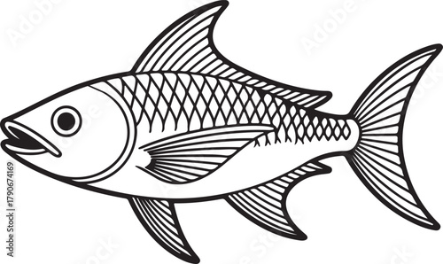 flying fish line art, coloring book page line art drawing, vector and illustration