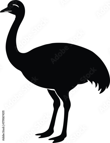Isolated emu silhouette. Australian wildlife animal vector graphic