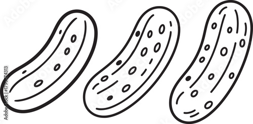 Set of Pickle Line Art, Coloring Book Page Line Art Drawing, Vector and Illustration