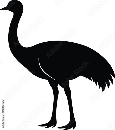 Emu bird silhouette. Large Australian flightless bird vector icon