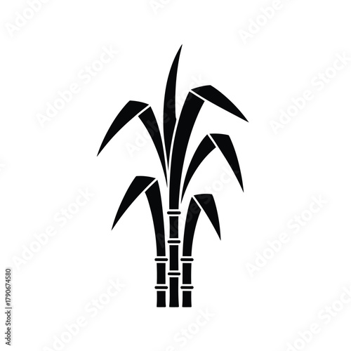 Black silhouette of sugarcane plant on white background